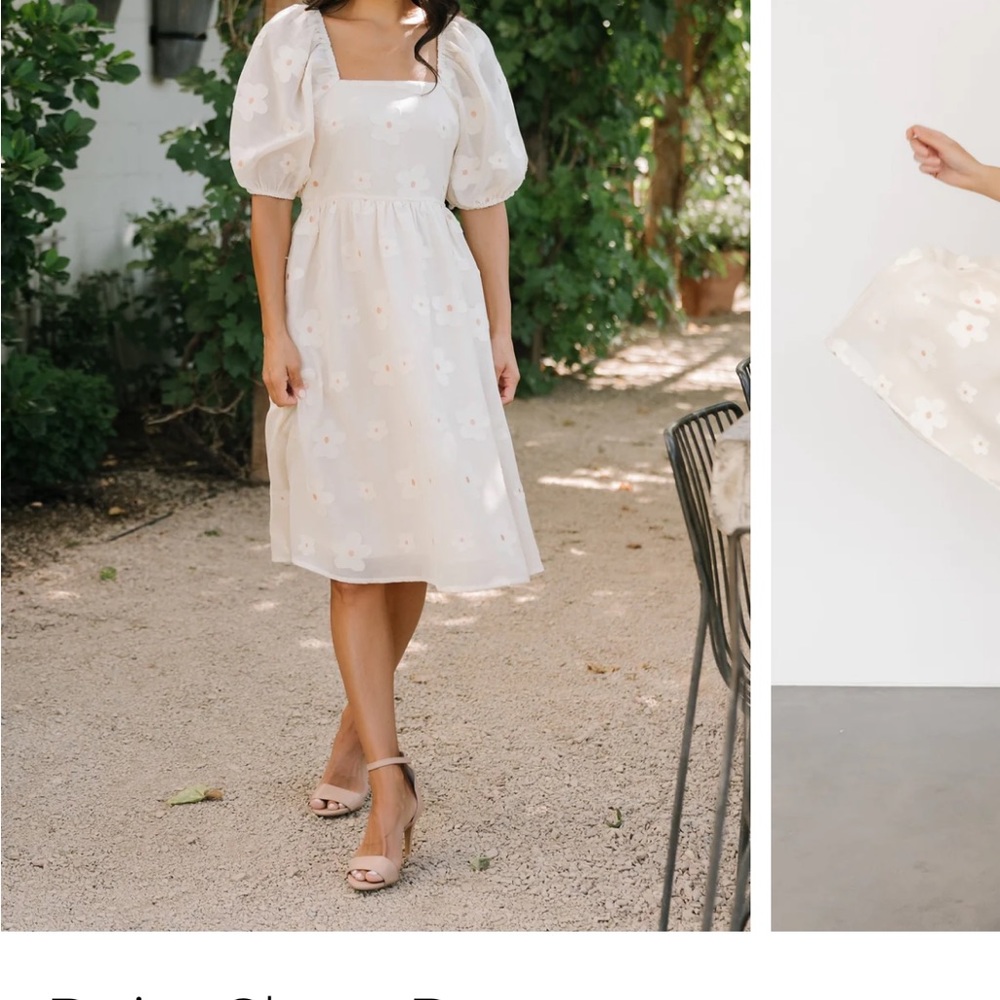 Brand New Baltic Born Dress